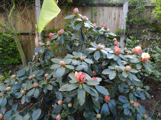 DSCN6662.JPG